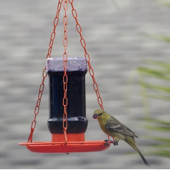 Perky Pet Oriole Feeder - Picture 3 of 5